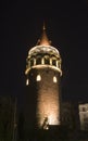 Galata Tower Royalty Free Stock Photo