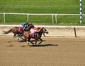 Galatians Winning at Belmont Park Royalty Free Stock Photo