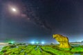 Galaxies to the ancient moss fossil beach beautiful Royalty Free Stock Photo