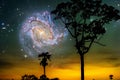 Galaxy M83 and silhouette tree and sunset dark purple sky