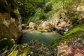 Galbena karst spring in Romania Royalty Free Stock Photo