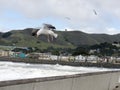 Gale force wind at Pacifica California