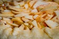 Galette, open pie with apples baking in electric oven: close up Royalty Free Stock Photo