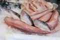 Galeus or Mustelus spp sharks at the greek fish market. Royalty Free Stock Photo