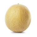 Galia melon Royalty Free Stock Photo