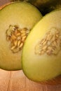 Galia Melon