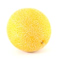 Galia melon Royalty Free Stock Photo