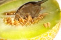 Galia melon Royalty Free Stock Photo