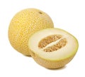 Galia melon composition isolated Royalty Free Stock Photo