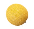 Galia melon