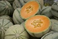 Galia melons Royalty Free Stock Photo