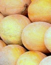 Galia melons Royalty Free Stock Photo