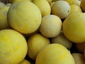 Galia Melons Royalty Free Stock Photo