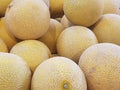 Galia melons Royalty Free Stock Photo