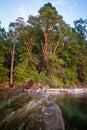 Galiano Island in the Gulf Islands, British Columbia