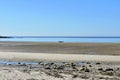 Beach with boat, rocks and wet sand. Blue sea, clear sky, sunny day. Galicia, Spain. Royalty Free Stock Photo