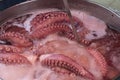 Octopus cooked in the traditional way of Galicia, Pulpo ÃÂ¡ Feira