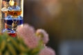 Galileo thermometer with bright colors in different backgrounds