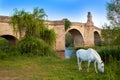 Galisteo village in Caceres of Extremadura