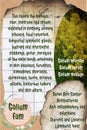 Galium benefits herbalist notepage idea