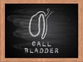 Gall bladder icon on blackboard flat design.