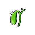 Gall bladder vector icon.