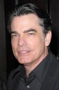 Peter Gallagher Royalty Free Stock Photo