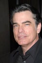 Peter Gallagher Royalty Free Stock Photo