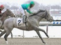 Gallant Bid by Graydar