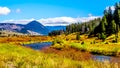 The Gallatin River as it runs through the western most part of Yellowstone National Park