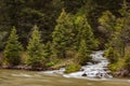 Gallatin river stream white water rapids amongst pine trees Montana, USA Royalty Free Stock Photo