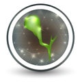 Gallbladder icon