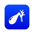 Gallbladder icon blue vector