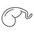 Gallbladder icon, outline style