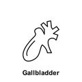 Gallbladder, organ icon. Element of human organ icon. Thin line icon for website design and development, app development. Premium Royalty Free Stock Photo