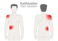 Gallbladder pain, attack location. Stones, cancer, polyps, tumors, blockages. Symptoms. Illustration vector