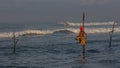 Galle, Sri Lanka - 2019-04-01 - Stilt Fishermen of Sri Lanka Spend All Day on Small Platforms to Catch Fish for Dinner