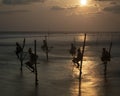 Galle, Sri Lanka - 2019-04-01 - Stilt Fishermen of Sri Lanka Spend All Day on Small Platforms to Catch Fish for Dinner