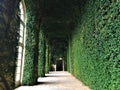 A gallery of AgliÃÂ¨ Castle transformed in a greenhouse, Piedmont region, Italy. Nature, environment, art and history