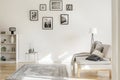 Gallery of black and white posters on the wall of classy living room interior Royalty Free Stock Photo