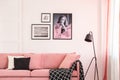 Gallery of posters on empty white wall of bright living room interior with pink settee Royalty Free Stock Photo