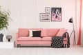 Gallery of posters on wall in fashionable living room interior with pink couch and industrial lamp Royalty Free Stock Photo