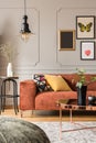 Trendy posters in elegant grey living room interior with brown corner sofa Royalty Free Stock Photo