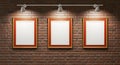 Gallery Wall with Empty Frames and Spotlights Royalty Free Stock Photo