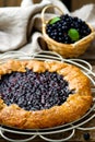 Gallet with blueberry . style rustic Royalty Free Stock Photo
