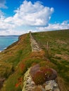 Galley Head Royalty Free Stock Photo