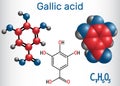 Gallic acid trihydroxybenzoic acid molecule, is phenolic acid,