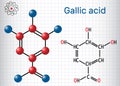 Gallic acid trihydroxybenzoic acid molecule, is phenolic acid. Royalty Free Stock Photo