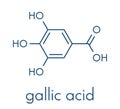 Gallic acid trihydroxybenzoic acid molecule. Present in many plants, including oak, tea and sumac. Both in the free form and is.