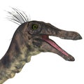 Gallimimus Dinosaur Head